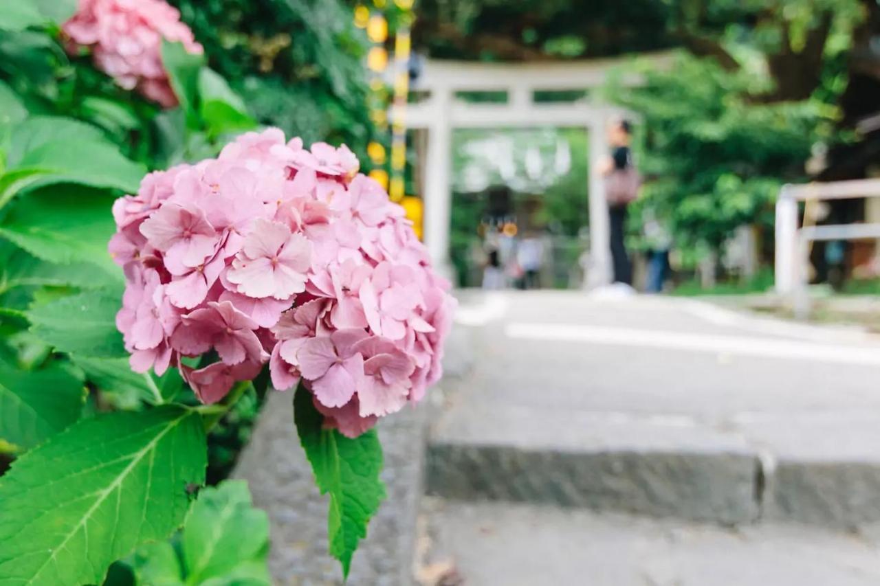Villa 镰仓市 外观 照片