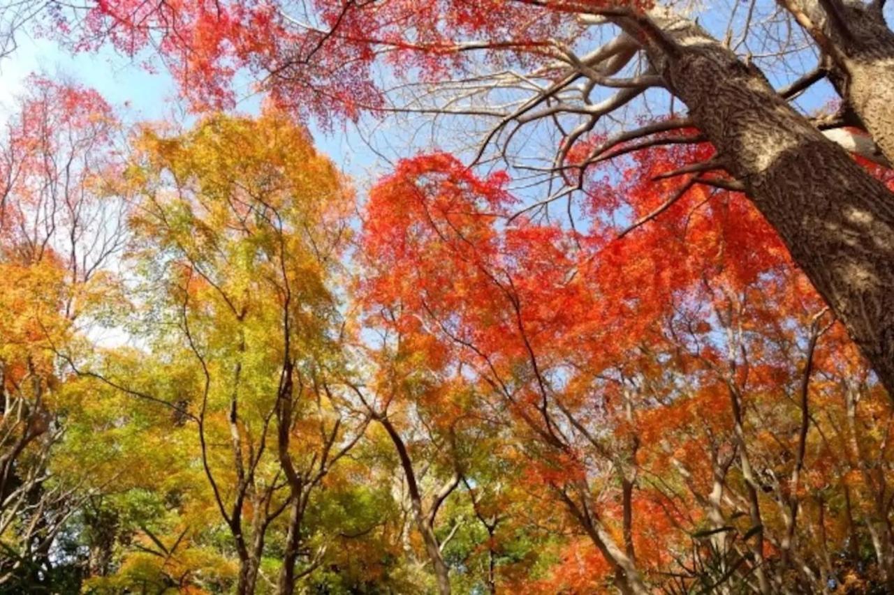 Villa 镰仓市 外观 照片